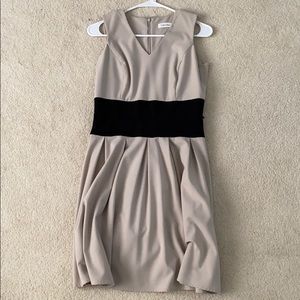 Calvin Klein Tan Dress